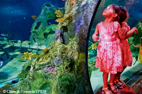Sea Life Aquarium